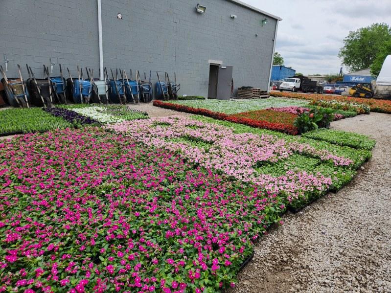 Seasonal flower installation by DLL